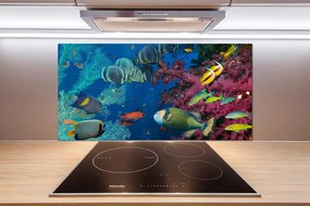Panel do kuchyne Koralový útes pksh-64308436