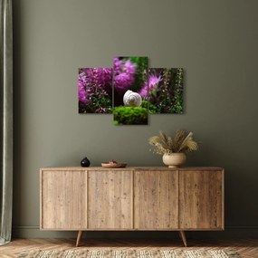Obraz - Slimáková ulita (90x60 cm)