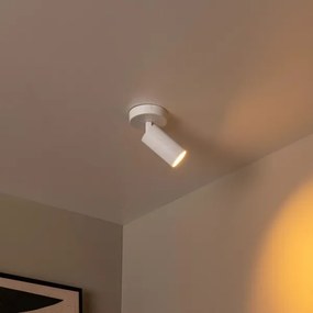 Lucide 09939/01/31 - Nástenné bodové svietidlo CLUBS 1xGU10/40W/230V biela