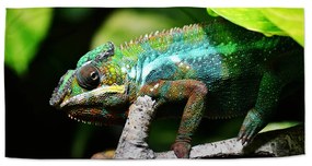 Sablio Uterák Chameleón - 30x50 cm