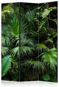 Paraván - Sunny Jungle [Room Dividers] Veľkosť: 135x172, Verzia: Jednostranný