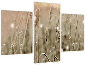 Obraz - Harmonická lúka (90x60 cm)