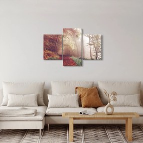 Obraz - Jesenná prechádzka lesom (90x60 cm)