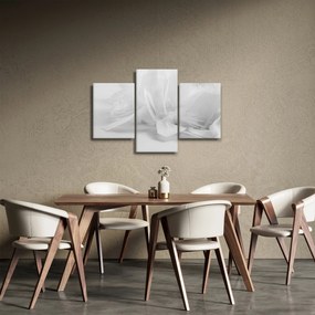 Obraz - Perie (90x60 cm)