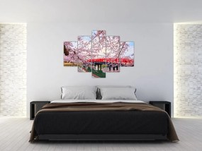 Obraz - Hirosaki, Japonsko (150x105 cm)