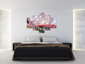 Obraz - Hirosaki, Japonsko (150x105 cm)