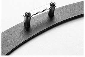 Kovová nástenná dekorácia 47x66 cm Branch &amp; Birds – Wallity