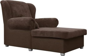 Tmavohnedá menčestrová leňoška Lord – Ropez