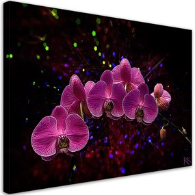 Obraz na plátně, Orchidej na temném pozadí - 90x60 cm