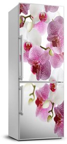 Nálepka fototapety na chladničku Orchidea FridgeStick-70x190-f-107506962