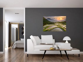 Obraz - Ryžové terasy (90x60 cm)