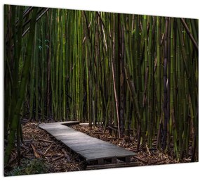 Obraz - Medzi bambusy (70x50 cm)