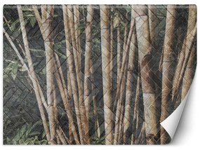 Fototapeta, Bambusový les - 100x70 cm