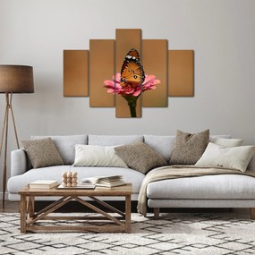 Obraz motýľa na kvetine (150x105 cm)