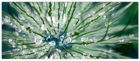 Obraz - Makro snímka kvetu (120x50 cm)