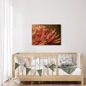 Obraz detailu kvety (70x50 cm)