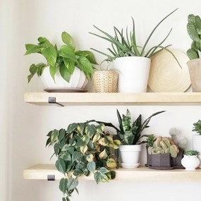 Polička Lam008 Black and Oak