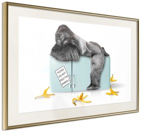 Artgeist Plagát - Hungry Gorilla [Poster] Veľkosť: 45x30, Verzia: Zlatý rám s passe-partout