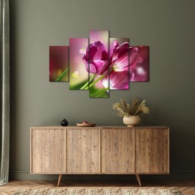 Obraz ružových tulipánov (150x105 cm)
