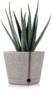 PLASTOVÝ KVETINÁČ PILEA TX 18X18 CM BÉŽOVÁ