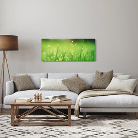 Obraz - rosa na tráve (120x50 cm)