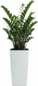 Plastový kvetináč Porto Riflo 46,5x24,7x24,7 cm biely