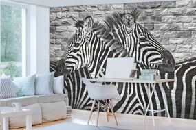 Fototapeta - Maľované zebry na tehlovú stenu (254x184 cm)