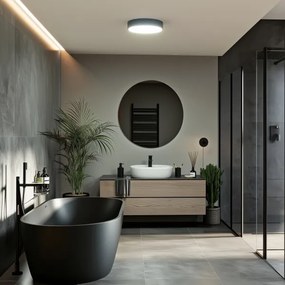 Brilagi - LED Kúpeľňové stropné svietidlo POOL LED/24W/230V pr. 30 cm IP54 čierna