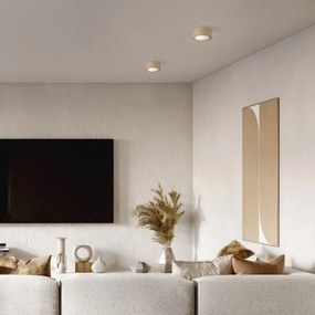 Bodové svietidlo EVE 1xGX53/11W/230V buk