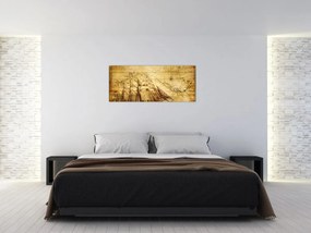 Obraz - Stará mapa (120x50 cm)
