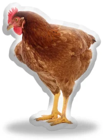 Sablio 3D vankúš Sliepky