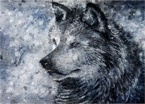 Sklenený obraz - Kreslený vlk (70x50 cm)