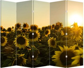 Paraván - Slnečnicové polia (210x170 cm)
