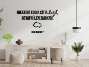 drevko Drevený citát Niektorí ľudia cítia dážď Rozmer obrazu: 49 x 85,5 cm, Farba dekorácie: Čierna