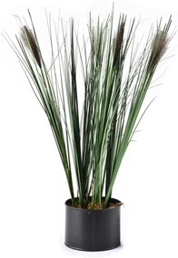 Umelá kvetina GRASS 54 cm zelená