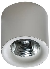 LED bodové svetlo Mane 20W Dimm biele