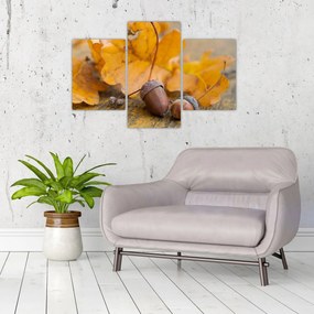 Obraz - Jesenné žalude (90x60 cm)
