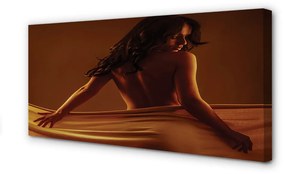Obraz canvas Žena s materiálom 120x60 cm