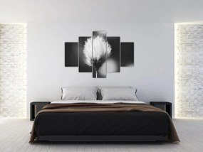 Obraz - Čiernobiely cottongrass (150x105 cm)