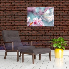 Obraz - Motýľ na čerešni (70x50 cm)