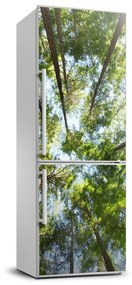 Nálepka na chladničku samolepiace Koruna stromov FridgeStick-70x190-f-119047799