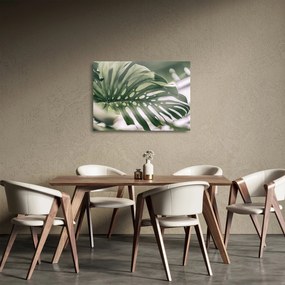 Sklenený obraz - List monštier (70x50 cm)