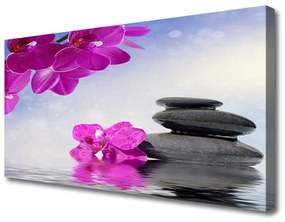 Obraz na plátne Kvety kamene rastlina 100x50 cm