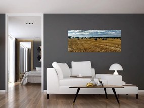 Obraz zozbieraného obilného poľa (120x50 cm)