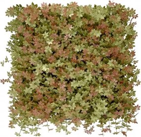 MI Panel farebných rastlín JIAOGULAN (50x50cm)