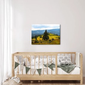 Obraz - Horská lúka (70x50 cm)