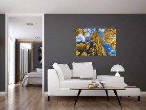 Obraz - Aspen (90x60 cm)