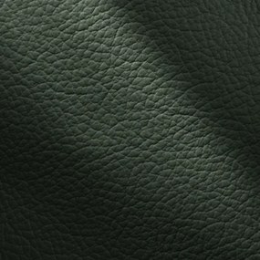 Kožené kreslo CONTINENTAL 1P, zelená (green 321)