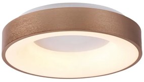 Rabalux 5053 - LED Stropné svietidlo CARMELA LED/50W/230V