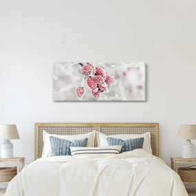 Obraz - Zamrznuté plody (120x50 cm)